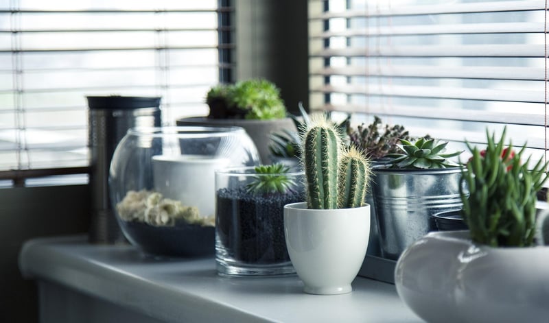 Green Living Havens
