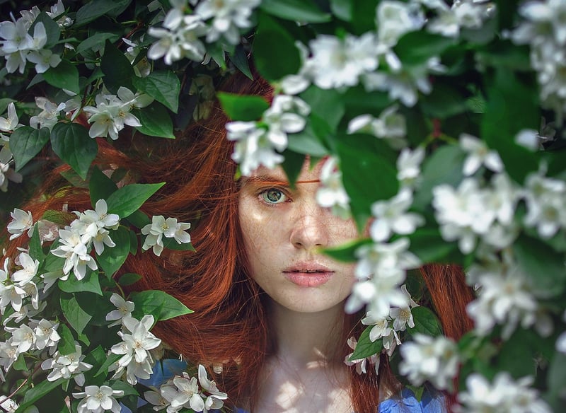 Hidden Blooms Haven
